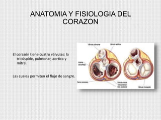 ANATOMIA Y FISIOLOGIA DEL
CORAZON
El corazón tiene cuatro válvulas: la
tricúspide, pulmonar, aortica y
mitral.
Las cuales ...
