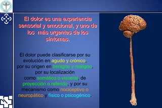 Anatomía y fisiología del dolor.
