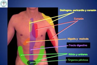Anatomía y fisiología del dolor.