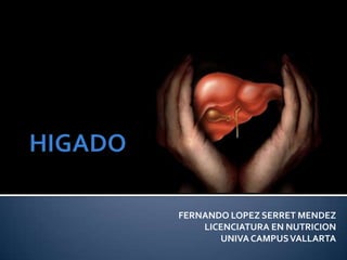 FERNANDO LOPEZ SERRET MENDEZ
    LICENCIATURA EN NUTRICION
       UNIVA CAMPUS VALLARTA
 