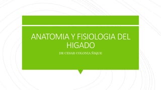 ANATOMIA Y FISIOLOGIA DEL
HIGADO
DR CESAR COLONIA ÑIQUE
 