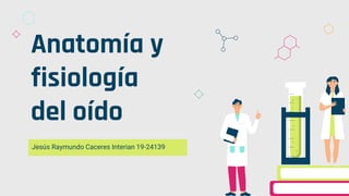 Anatomía y
fisiología
del oído
Jesús Raymundo Caceres Interian 19-24139
 