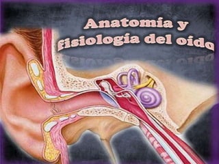 Anatomia y fisiologia del oido