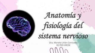 Anatomía y
fisiología del
sistema nervioso
Dra. Mariela Liñán Carrizales
R2 PED HRCM
 