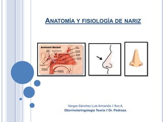 ANATOMÍA Y FISIOLOGÍA DE NARIZ
Vargas Sánchez Luis Armando // 8vo A.
Otorrinolaringología Teoría // Dr. Pedroza.
 