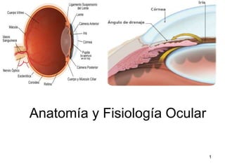 Anatomía y Fisiología Ocular
1
 
