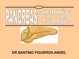 DR SANTINO FIGUEROA ANGEL
 