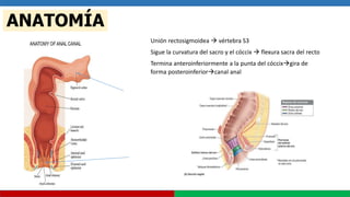 ANATOMIA Y FISIOLOGIA RECTO ANO.pptx