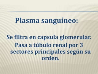 Plasma sanguíneo:<br />Se filtra en capsula glomerular.<br />Pasa a túbulo renal por 3 sectores principales según su orden...