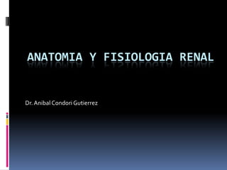 ANATOMIA Y FISIOLOGIA RENAL
Dr.Anibal Condori Gutierrez
 