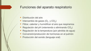 Funciones del aparato respiratorio
 Distribución del aire
 Intercambio de gases (O2 y CO2)
 Filtrar, calentar y humidif...