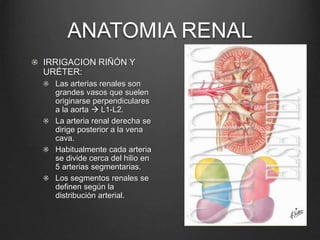 anatomia y fisiologia urinaria.ppt