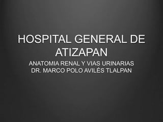 HOSPITAL GENERAL DE
ATIZAPAN
ANATOMIA RENAL Y VIAS URINARIAS
DR. MARCO POLO AVILÉS TLALPAN
 