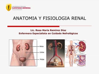 ANATOMIA Y FISIOLOGIA RENAL
Lic. Rosa María Ramírez Díaz
Enfermera Especialista en Cuidado Nefrológicos
 