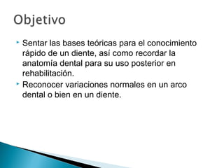  Sentar las bases teóricas para el conocimiento
  rápido de un diente, así como recordar la
  anatomía dental para su uso posterior en
  rehabilitación.
 Reconocer variaciones normales en un arco

  dental o bien en un diente.
 