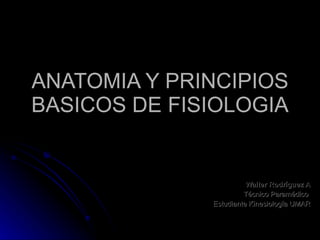 ANATOMIA Y PRINCIPIOS BASICOS DE FISIOLOGIA Walter Rodríguez A Técnico Paramédico  Estudiante Kinesiología UMAR 