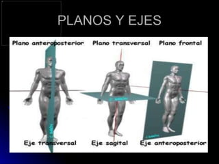 PLANOS Y EJES 