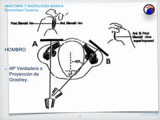 ANATOMÍA Y RADIOLOGÍA BÁSICA.ET 2.pptx