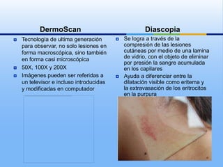 Anatomia y semiologia de la piel | PPTX