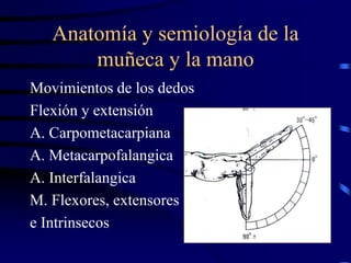 Anatomia y semiologia de muñeca y mano (2).ppt