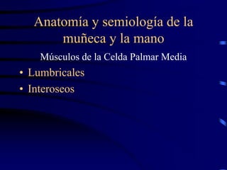 Anatomía y semiología de la
muñeca y la mano
Músculos de la Celda Palmar Media
• Lumbricales
• Interoseos
 