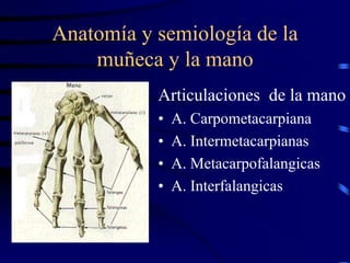 Anatomía y semiología de la
muñeca y la mano
Articulaciones de la mano
• A. Carpometacarpiana
• A. Intermetacarpianas
• A....