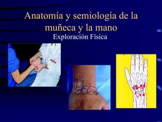 Anatomía y semiología de la
muñeca y la mano
Exploración Física
 