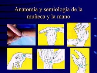 Anatomía y semiología de la
muñeca y la mano
 