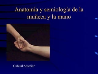 Anatomía y semiología de la
muñeca y la mano
Cubital Anterior
 