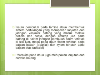  Ikatan pembuluh pada lamina daun membentuk
sistem pertulangan yang merupakan lanjutan dari
jaringan vaskuler batang yang masuk melalui
petiola dan costa, dengan catatan jika pada
batang di dalam jaringan pembuluh floem terletak
di sisi luar, maka pada daun floem terletak pada
bagian bawah (abaxial) dan xylem terletak pada
bagian atas (adaxial)
 Parenkim pada daun juga merupakan lanjutan dari
corteks batang
 