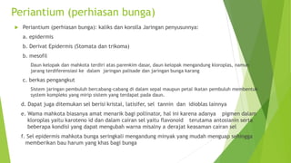 ANATOMI BUNGA.pptx