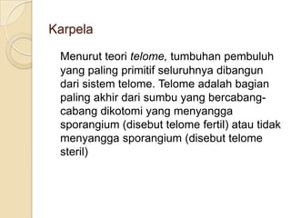 Karpela

 Menurut teori telome, tumbuhan pembuluh
 yang paling primitif seluruhnya dibangun
 dari sistem telome. Telome adalah bagian
 paling akhir dari sumbu yang bercabang-
 cabang dikotomi yang menyangga
 sporangium (disebut telome fertil) atau tidak
 menyangga sporangium (disebut telome
 steril)
 