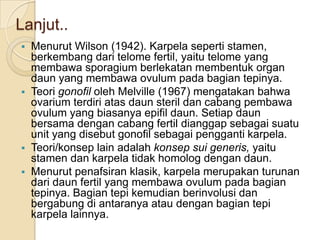 Lanjut..
 Menurut Wilson (1942). Karpela seperti stamen,
  berkembang dari telome fertil, yaitu telome yang
  membawa sporagium berlekatan membentuk organ
  daun yang membawa ovulum pada bagian tepinya.
 Teori gonofil oleh Melville (1967) mengatakan bahwa
  ovarium terdiri atas daun steril dan cabang pembawa
  ovulum yang biasanya epifil daun. Setiap daun
  bersama dengan cabang fertil dianggap sebagai suatu
  unit yang disebut gonofil sebagai pengganti karpela.
 Teori/konsep lain adalah konsep sui generis, yaitu
  stamen dan karpela tidak homolog dengan daun.
 Menurut penafsiran klasik, karpela merupakan turunan
  dari daun fertil yang membawa ovulum pada bagian
  tepinya. Bagian tepi kemudian berinvolusi dan
  bergabung di antaranya atau dengan bagian tepi
  karpela lainnya.
 
