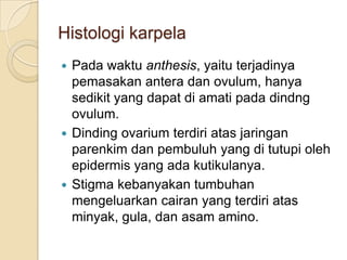 Histologi karpela
 Pada waktu anthesis, yaitu terjadinya
  pemasakan antera dan ovulum, hanya
  sedikit yang dapat di amati pada dindng
  ovulum.
 Dinding ovarium terdiri atas jaringan
  parenkim dan pembuluh yang di tutupi oleh
  epidermis yang ada kutikulanya.
 Stigma kebanyakan tumbuhan
  mengeluarkan cairan yang terdiri atas
  minyak, gula, dan asam amino.
 