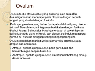 Ovulum
   Ovulum terdiri atas nuselus yang dikelilingi oleh satu atau
    dua integumendan menempel pada plasenta dengan sebuah
    tangkai yang disebut dengan funikulus.
    Pada ujung ovulum yang bebas terdapat celah kecil yang disebut
    mikropil. Daerah tempat integumen berlekatan dengan funikulus
    disebut kalaza. Sel nuselus biasanya terdapat di bawah lapisan
    paling luar pada ujung mikropil, dan disebut sel induk megaspora.
    Karena itu, nuselus dianggap sebagai megasporangium.
   Ovulum dibedakan menjadi 2 tipe utama yaitu ortotropus atau
    atropus dan anatropus.
      Atropus, apabila ujung nuselus pada garis lurus dan
       bersambungan dengan funikulus.
      Anatropus, apabila ujung nuselus diarahkan kebelakang menuju
       dasar funikulus.
 