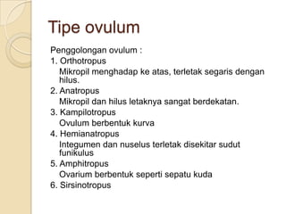 Tipe ovulum
Penggolongan ovulum :
1. Orthotropus
   Mikropil menghadap ke atas, terletak segaris dengan
   hilus.
2. Anatropus
   Mikropil dan hilus letaknya sangat berdekatan.
3. Kampilotropus
   Ovulum berbentuk kurva
4. Hemianatropus
   Integumen dan nuselus terletak disekitar sudut
   funikulus
5. Amphitropus
   Ovarium berbentuk seperti sepatu kuda
6. Sirsinotropus
 