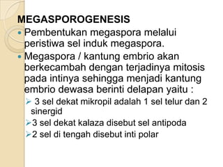 MEGASPOROGENESIS
 Pembentukan megaspora melalui
  peristiwa sel induk megaspora.
 Megaspora / kantung embrio akan
  berkecambah dengan terjadinya mitosis
  pada intinya sehingga menjadi kantung
  embrio dewasa berinti delapan yaitu :
  3 sel dekat mikropil adalah 1 sel telur dan 2
  sinergid
 3 sel dekat kalaza disebut sel antipoda
 2 sel di tengah disebut inti polar
 