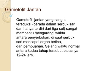 Gametofit Jantan

     Gametofit jantan yang sangat
     tereduksi (berada dalam serbuk sari
     dan hanya terdiri dari tiga sel) sangat
     membantu mengurangi waktu
     antara penyerbukan, di saat serbuk
     sari mencapai organ betina,
     dan pembuahan. Selang waktu normal
     antara kedua tahap tersebut biasanya
     12-24 jam.
 