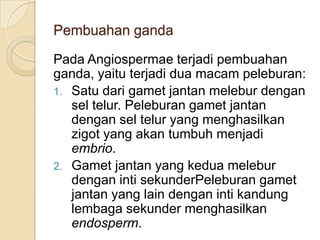 Pembuahan ganda

Pada Angiospermae terjadi pembuahan
ganda, yaitu terjadi dua macam peleburan:
1. Satu dari gamet jantan melebur dengan
   sel telur. Peleburan gamet jantan
   dengan sel telur yang menghasilkan
   zigot yang akan tumbuh menjadi
   embrio.
2. Gamet jantan yang kedua melebur
   dengan inti sekunderPeleburan gamet
   jantan yang lain dengan inti kandung
   lembaga sekunder menghasilkan
   endosperm.
 