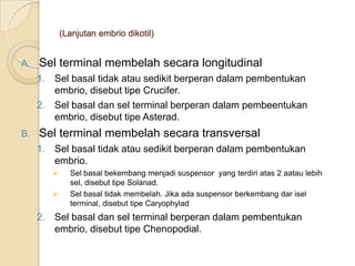(Lanjutan embrio dikotil)


A.   Sel terminal membelah secara longitudinal
     1. Sel basal tidak atau sedikit berperan dalam pembentukan
        embrio, disebut tipe Crucifer.
     2. Sel basal dan sel terminal berperan dalam pembeentukan
        embrio, disebut tipe Asterad.
B.   Sel terminal membelah secara transversal
     1. Sel basal tidak atau sedikit berperan dalam pembentukan
        embrio.
             Sel basal bekembang menjadi suspensor yang terdiri atas 2 aatau lebih
              sel, disebut tipe Solanad.
             Sel basal tidak membelah. Jika ada suspensor berkembang dar isel
              terminal, disebut tipe Caryophylad
     2. Sel basal dan sel terminal berperan dalam pembentukan
        embrio, disebut tipe Chenopodial.
 
