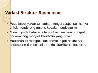 Variasi Struktur Suspensor

   Pada kebanyakan tumbuhan, fungsi suspensor hanya
    untuk mendorong embrio kedalam endosperm.
   Namun pada beberapa tumbuhan, suspensor dapat
    berkembang menjadi haustoria yang besar.
   Haustoria ini mengadakan pematangan antara sel
    endosperm dan sel-sel tertentu disekitar endosperm.
 