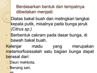 Berdasarkan bentuk dan tempatnya
    dibedakan menjadi:
• Diatas bakal buah dan melingkari tangkai
  kepala putik, misalnya pada bunga jeruk
  (Citrus sp.)
• Berbentuk cakram pada dasar bunga, di
  bawah bakal buah.
Kelenjar       madu     yang     merupakan
metamorfosissalah satu bagian bunga dapat
berasal dari:
o Daun mahkota,
o Benang sari,
 