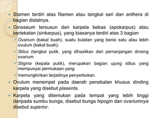  Stamen terdiri atas filamen atau tangkai sari dan anthera di
  bagian distalnya.
 Ginoseum tersusun dari karpela bebas (apokarpus) atau
  berlekatan (sinkarpus), yang biasanya terdiri atas 3 bagian
     Ovarium (bakal buah), suatu bulatan yang berisi satu atau lebih
      ovulum (bakal buah).
     Stilus (tangkai putik, yang dihasilkan dari pemanjangan dinsing
      ovarium
     Stigma (kepala putik), merupakan bagian ujung stilus yang
      mempunyai permukaan yang
     memungkinkan terjadinya penyerbukan.
 Ovulum menempel pada daerah penebalan khusus dinding
  karpela yang disebut plasenta.
 Karpela yang ditemukan pada tempat yang lebih tinggi
  daripada sumbu bunga, disebut bunga hipogin dan ovariumnya
  disebut superior.
 