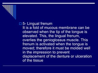  5- Lingual frenum
It is a fold of mucous membrane can be
observed when the tip of the tongue is
elevated. This, the lingual frenum,
overlies the genioglossus muscle. This
frenum is activated when the tongue is
moved; therefore it must be molded well
in the impression to prevent
displacement of the denture or ulceration
of the tissue
 