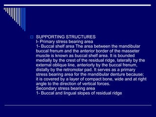  SUPPORTING STRUCTURES
I- Primary stress bearing area
1- Buccal shelf area The area between the mandibular
buccal frenum and the anterior border of the masseter
muscle is known as buccal shelf area. It is bounded
medially by the crest of the residual ridge, laterally by the
external oblique line, anteriorly by the buccal frenum,
distally by the retromolar pad. It serves as a primary
stress bearing area for the mandibular denture because;
it is covered by a layer of compact bone, wide and at right
angle to the direction of vertical forces.
Secondary stress bearing area
1- Buccal and lingual slopes of residual ridge
 