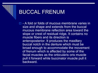 BUCCAL FRENUM
 - A fold or folds of mucous membrane varies in
size and shape and extends from the buccal
mucous membrane reflection area toward the
slope or crest of residual ridge. It contains no
muscle fibers and its direction is
anteroposterior. It produces the maxillary
buccal notch in the denture which must be
broad enough to accommodate the movement
of frenum which is affected by some of the
facial muscles as the orbicularis oris muscle
pull it forward while buccinator muscle pull it
backward.
 