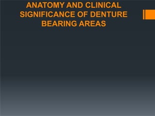 ANATOMY AND CLINICAL
SIGNIFICANCE OF DENTURE
BEARING AREAS
 