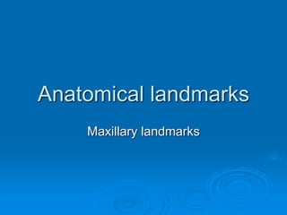 Anatomical landmarks
Maxillary landmarks
 