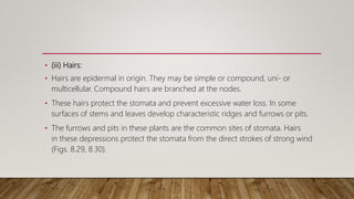 Anatomical adaptations of plants | PPTX