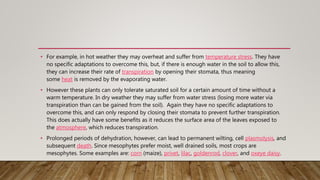 Anatomical adaptations of plants | PPTX